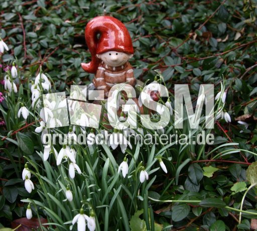 Schneeglöckchen-049.jpg