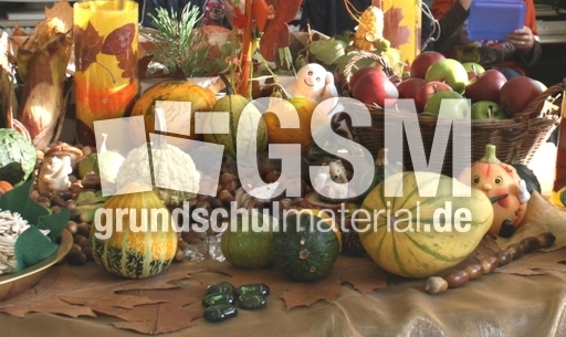 Herbstfrüchte-2.jpg
