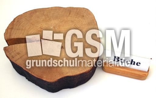 Buche-Jahresringe-1.jpg