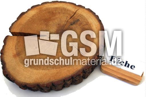 Eiche-Jahresringe.jpg