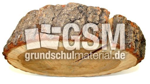 Eiche-Rinde.jpg