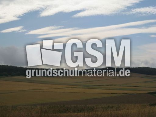 Felder-Sommer-036.jpg
