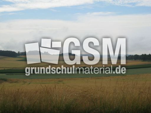 Felder-Sommer-037.jpg