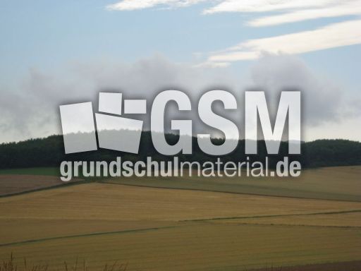 Felder-Sommer-038.jpg