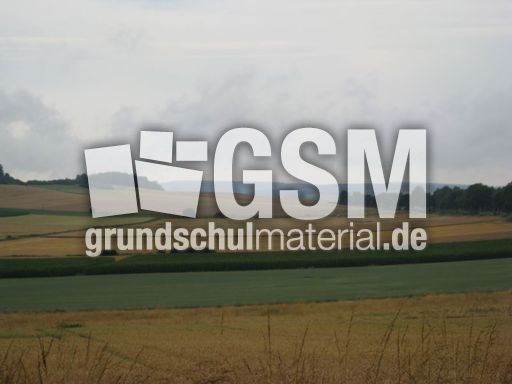 Felder-Sommer-039.jpg
