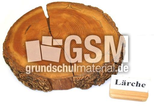 Laerche-Jahresringe-1.jpg