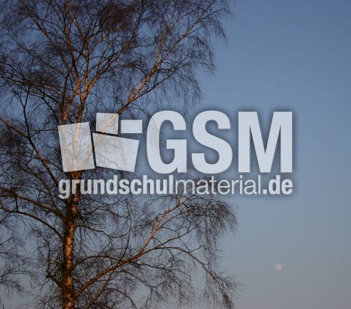 Mond-Fruehling.jpg