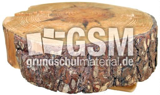 Waldkiefer-Rinde.jpg