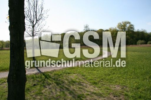 Wiese-Frühling-020.jpg