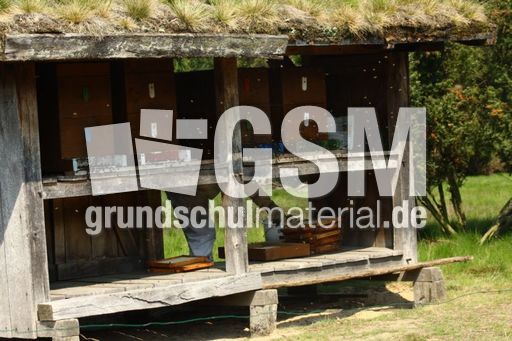 Bienenstock_8138.jpg