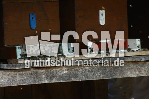 Bienenstock_8140.jpg