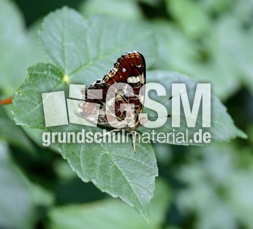 Landkärtchen-2.jpg