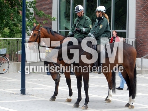 Polizeipferde.JPG