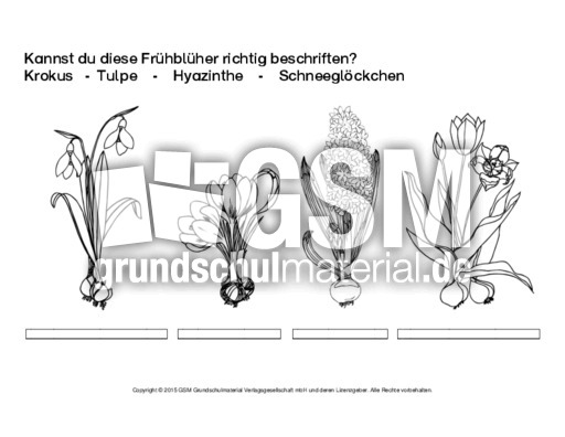 1 Ab Fruhbluher Beschriften 1 Sw Arbeitsblatter Fruhbluher