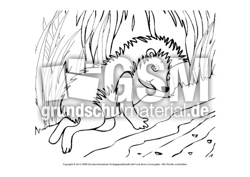 igel ausmalbild pdf - zeichnen und färben