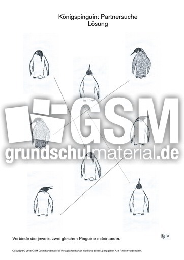 Pinguine partnersuche