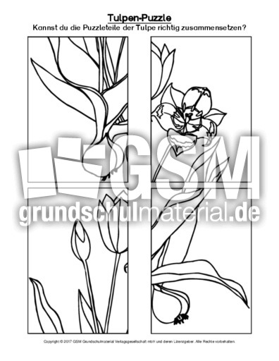 Tulpen Puzzle Tulpe Ab Und Sachtexte Fruhlings Tulpen