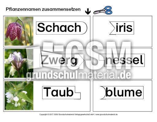 Pflanzennamen Zusammensetzen Fruhlingsratsel Fruhling Jahreszeiten Hus Klasse 2 Grundschulmaterial De