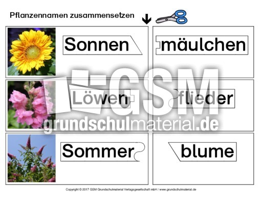 Pflanzennamen Zusammensetzen Fruhlingsratsel Fruhling Jahreszeiten Hus Klasse 2 Grundschulmaterial De