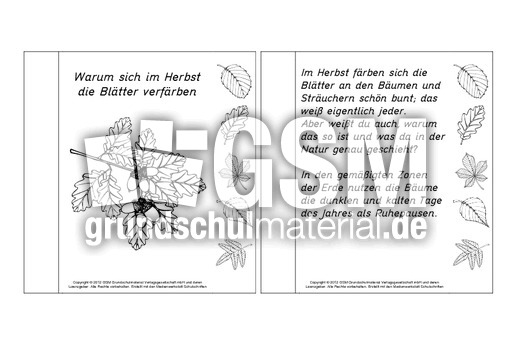 Mini Buch Herbst Lesetext 1 Mini Bucher Lesetexte Lapbook Herbst Herbst Jahreszeiten Hus Klasse 2 Grundschulmaterial De