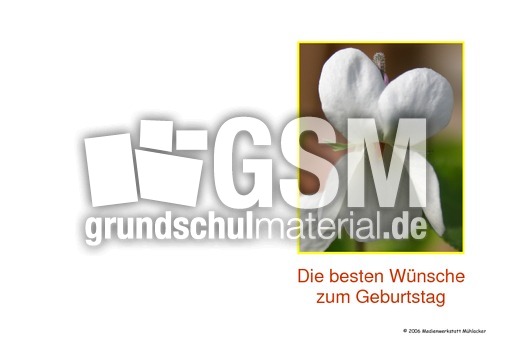 Search Q 11 Geburtstag Junge Bilder Tbm Isch