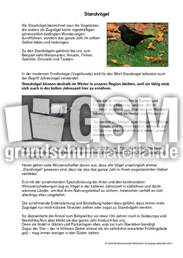 Standvogel Vogel Im Winter Winter Jahreszeiten Hus Klasse 3 Grundschulmaterial De
