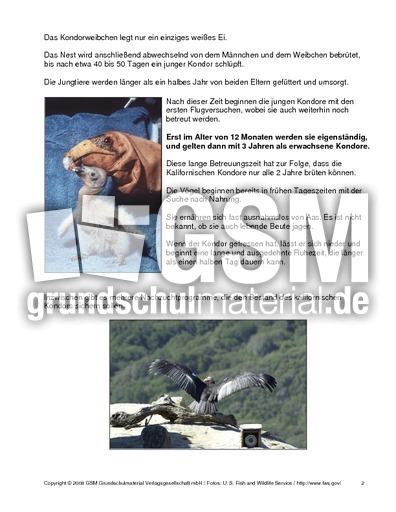 Sachtexte über tiere grundschule