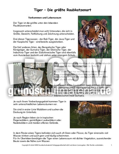 Tiger-Steckbrief - Tiersteckbriefe - Lesen - Steckbriefe-Tiere - Sachthemen - HuS Klasse 3 ...