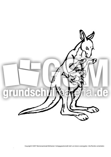 Kanguru Tiere Tiere Zum Ausmalen Tiere Sachthemen Hus