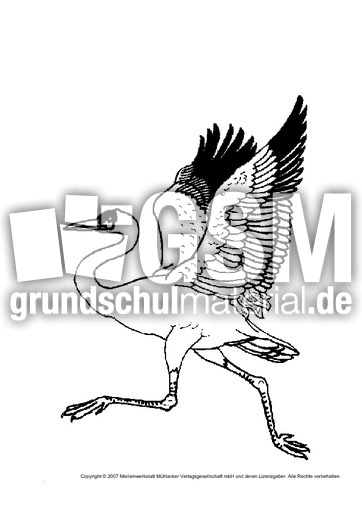 Storch Tiere Tiere Zum Ausmalen Tiere Sachthemen