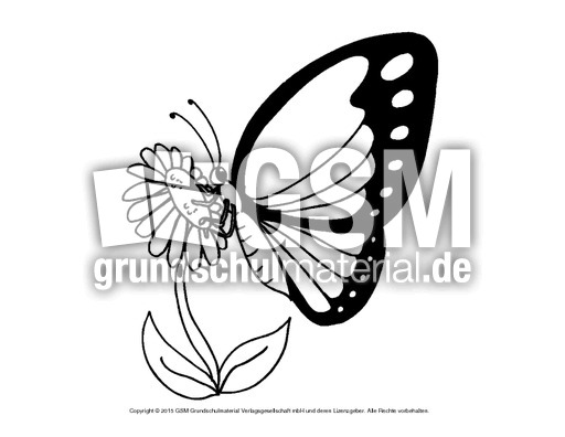 ausmalbild-schmetterling 16 - schmetterlinge - tiere zum