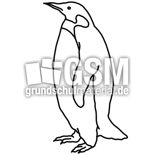 pinguin  kp  nomengrafiken zum ausmalen  material
