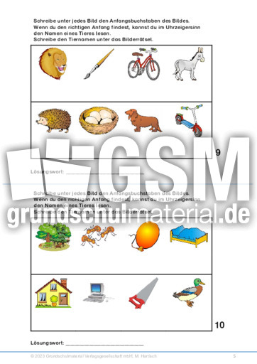 begonie zimmerpflanze kaufen Forellenbegonie (Begonia maculata) kaufen