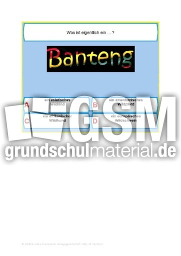 Tierrätsel_03 - Kennst du diese Tiere - Rätsel, Puzzles ...