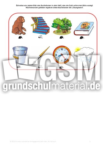 Suchsel Mittel - Suchsel Mittel / Inklusive Lernumgebung ...