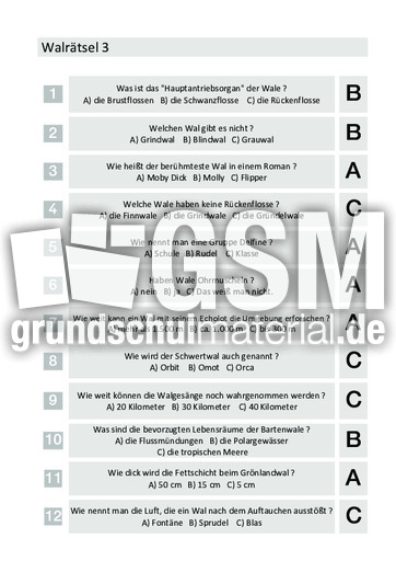 Walrätsel - Der fröhliche Nachmittag - Vorleserätsel - Rätsel ...