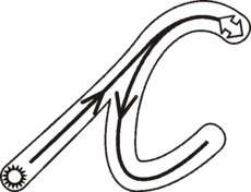 Featured image of post C Schreibschrift