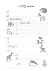 Tierbilder In Der Grundschule Abc Bilder Abc Ubungen Deutsch Klasse 2 Grundschulmaterial De