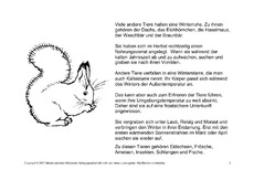 Lesetext in der Grundschule - Deutsch Klasse 2 - Grundschulmaterial.de