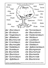 monstera hngepflanze Kaufen Sie jetzt Zimmerpflanze Fensterblatt Monstera 'Monkey Leaf' grn  inkl. Hngetopf - Hngepflanze