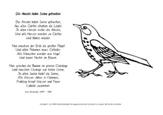 27 Die Besten Amsel Malvorlage