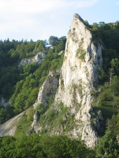 Donaufelsen-3.jpg