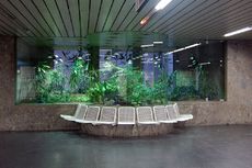 U-Bahn_Station.JPG