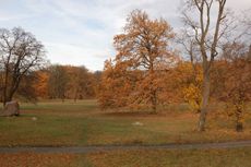 Schloss-Glienicke_02.jpg