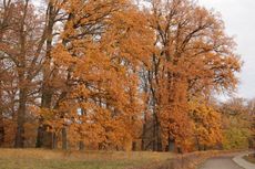 Schloss-Glienicke_05.jpg