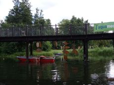 Spreewald-Luebben_03.jpg