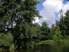 Spreewald-Luebben_09.jpg