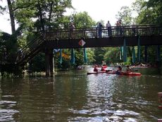 Spreewald-Luebben_12.jpg