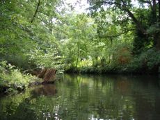 Spreewald-Luebben_17.jpg