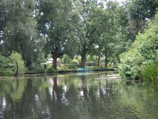 Spreewald-Luebben_31.jpg